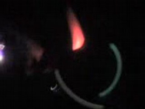 Flo la chouette bollas offworld 2007