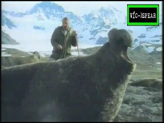 La Vida en el Congelador: El Hielo se retira - Documental (1993) Español Latino - Episodio 2