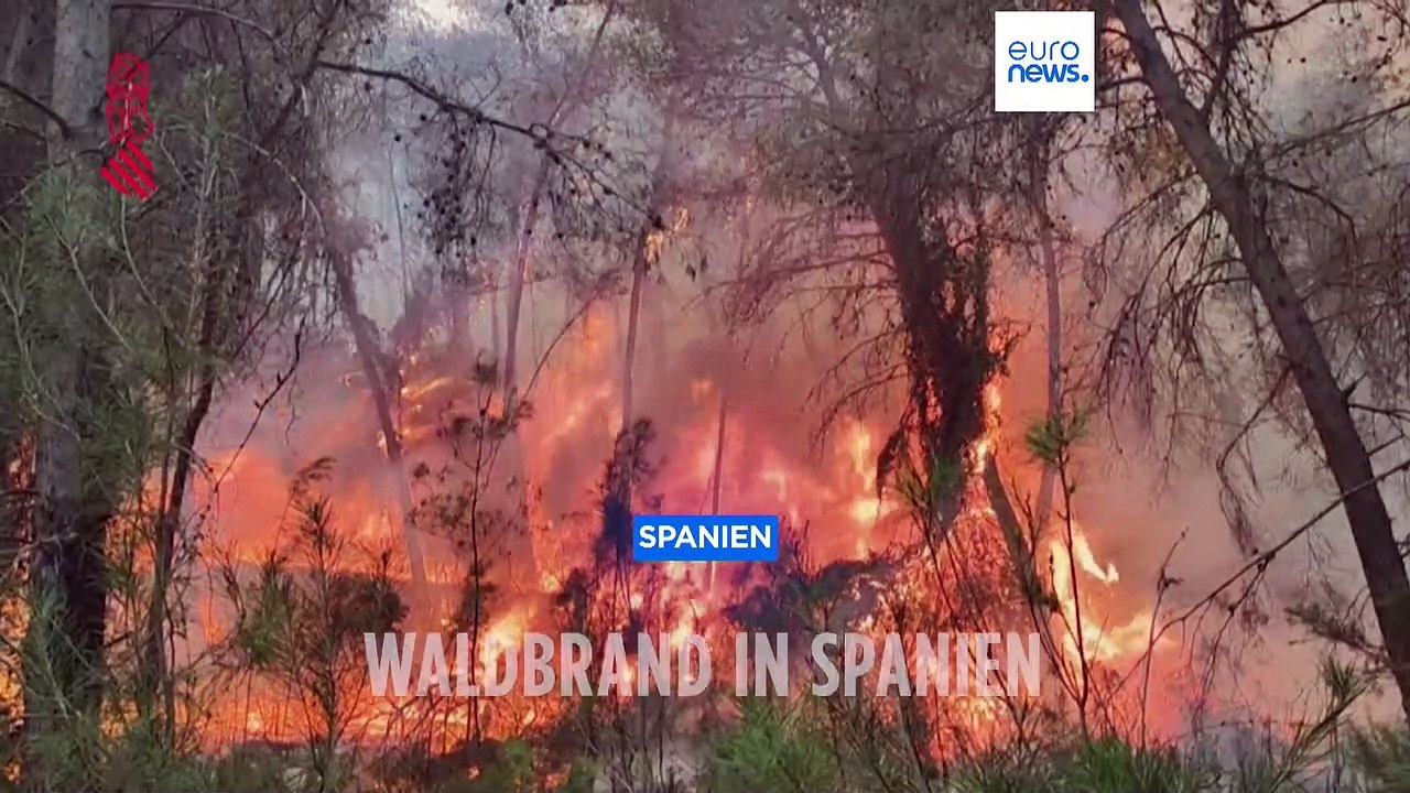 Erster großer Waldbrand des Jahres in Spanien