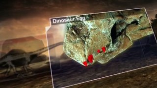 Planet Dinosaur S01 E05