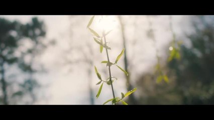 Kılıçdaroğlu, Cumhurbaşkanlığı Seçim Kampanyasını Başlattı…  Temel Karamollaoğlu: "14 Mayıs'ta İklim Değişecek. Sana Söz, Yine Baharlar Gelecek"