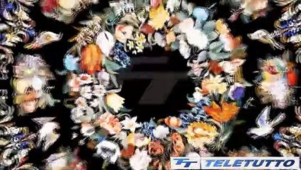 Video News - IL COLORE DELLE PIETRE