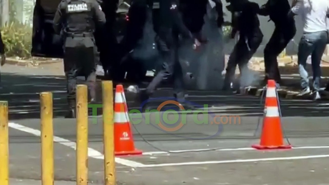 Exdiputada del PLD condena atropellos de agentes policiales contra miembros del partido