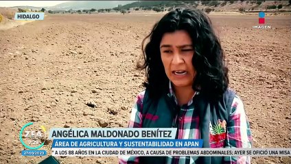 Falta de lluvias afecta a productores del campo en Hidalgo