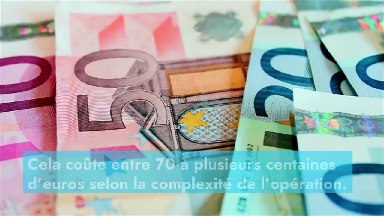 Abeilles, guêpes ou frelons : les démarches pour se débarrasser d’un nid