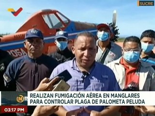 Sucre | Realizan fumigación aérea en los manglares del Golfo de Paria que favorecerá 8 municipios