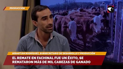 El remate en Fachinal fue un éxito, se remataron más de mil cabezas de ganado