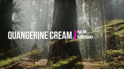 Quangerine Cream - Noir Et Blanc Vie-  RnB Music, Soul Music, Calm Music @NCMstudio18