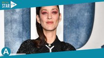 Marion Cotillard rejoint un célèbre chanteur sur scène, Guillaume Canet plus fier que jamais