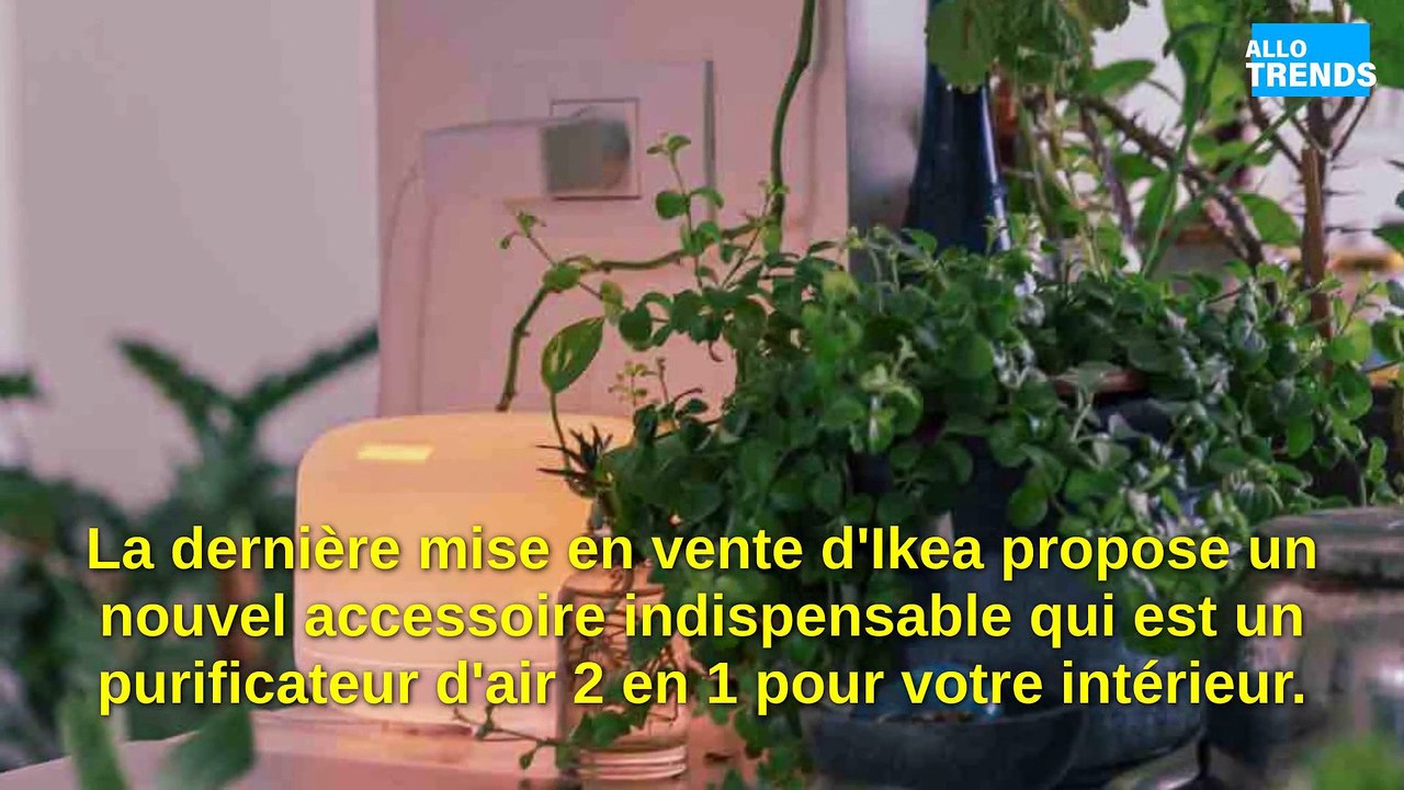 Un purificateur d'air 2 en 1 pour une maison saine, le best-seller d'Ikea !