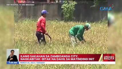 Ilang sakahan sa Zamboanga City, nagkabitak-bitak na dahil sa matinding init | UB
