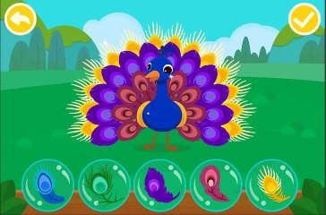 동물친구들 안녕 놀이.Animal traits and behaviors funny game.교육 만화. 아기생활놀이