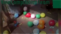 Top Funny Pranks Clips Compilation 2015## Funny cats and dogs