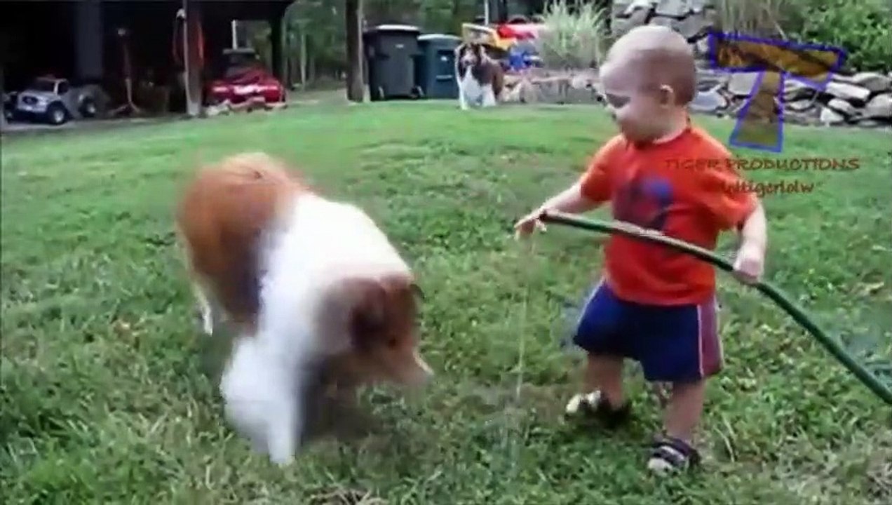 Funny babies and animals bathing together - Cute baby & animal compilation - FULL HD (2)