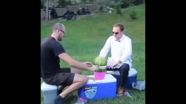 Funny Videos 2015 Fail Video Funny animals Funny Pranks Funny vines #12 Best Fails