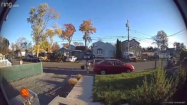 Daily Dose Of Ding Dong Ditching