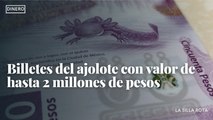 Billetes del ajolote con valor de hasta 2 millones de pesos