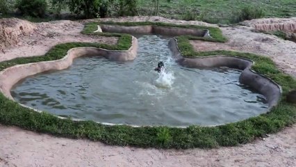 Build swimming pool Beautiful model guitar