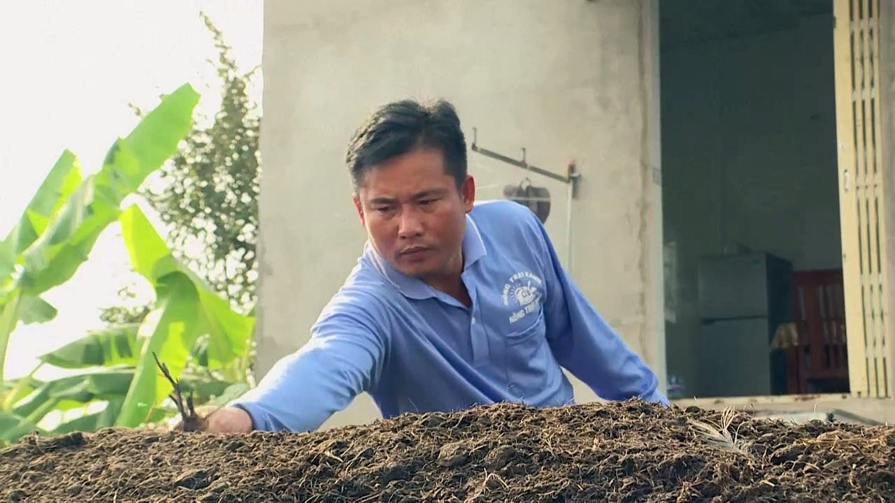 Hoher Methan-Ausstoß: Forscher nehmen Reisanbau aufs Korn