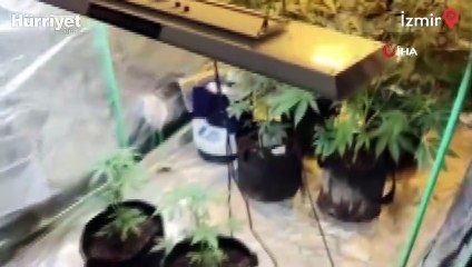 Evinde çadır kurup uyuşturucu yetiştirmiş