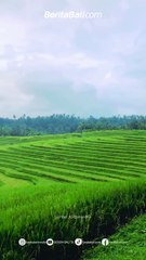 Rahajeng semeng semeton, dan selamat beraktivitas 