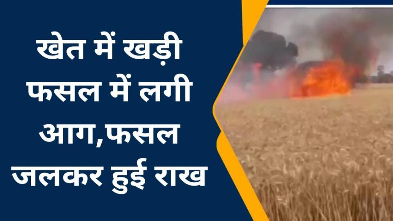 ललितपुर: खेत में खड़ी फसल में लगी आग, 5 एकड़ की फसल जलकर हुई खाक