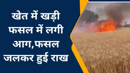 ललितपुर: खेत में खड़ी फसल में लगी आग, 5 एकड़ की फसल जलकर हुई खाक