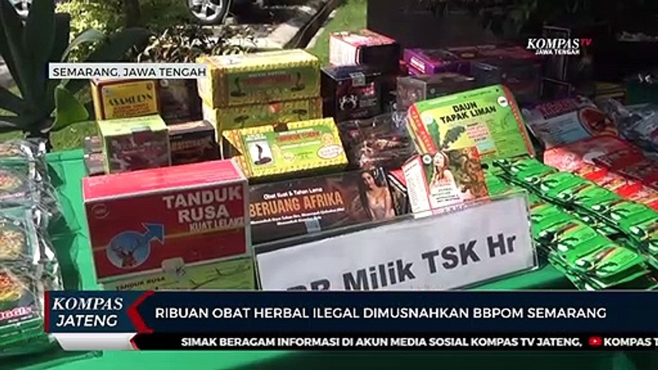 Ribuan Obat Herbal Ilegal Dimusnahkan BBPOM Semarang