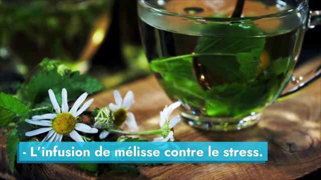 Quelles tisanes boire quand on est malade ?