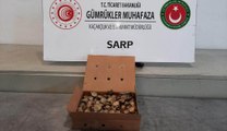 Sırtına bağladığı kutudaki su kaplumbağalarını Türkiye'ye sokmaya çalışan kişi yakalandı
