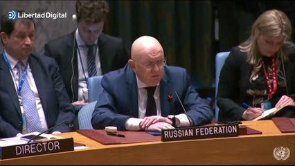 Rusia no logra que el Consejo de Seguridad apruebe la investigación del ataque al Nord Stream