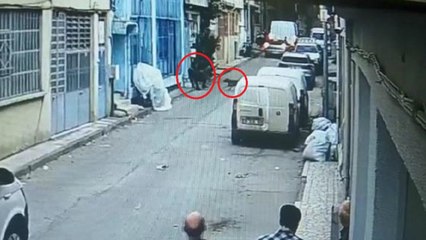 "Pitbull"lu saldırı davası ağır cezada görülecek
