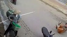 Short Funny Compilation (90)