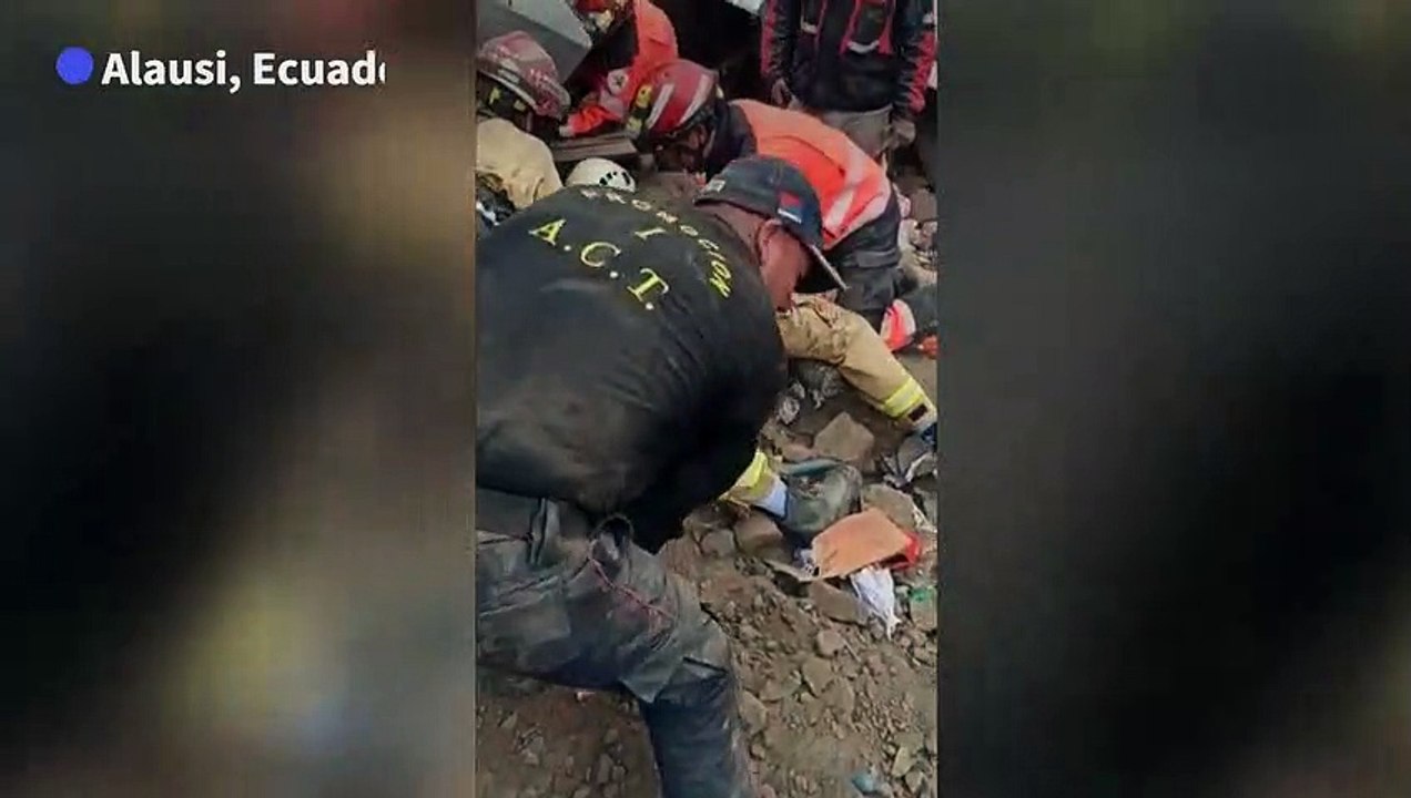 Rescuers free dog from rubble after deadly landslide in Ecuador