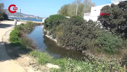 Kuraklık alarmı: Gölköy Kovalık Sulak Alanı kurumaya başladı!