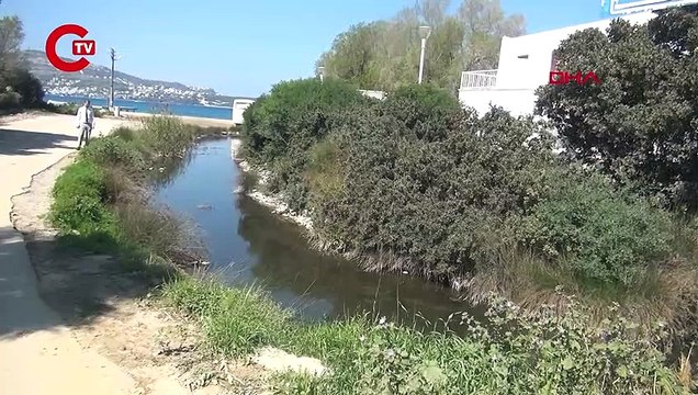 Kuraklık alarmı: Gölköy Kovalık Sulak Alanı kurumaya başladı!