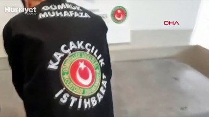 Sarp Sınır Kapısı'nda, 250 istilacı su kaplumbağası ele geçirildi