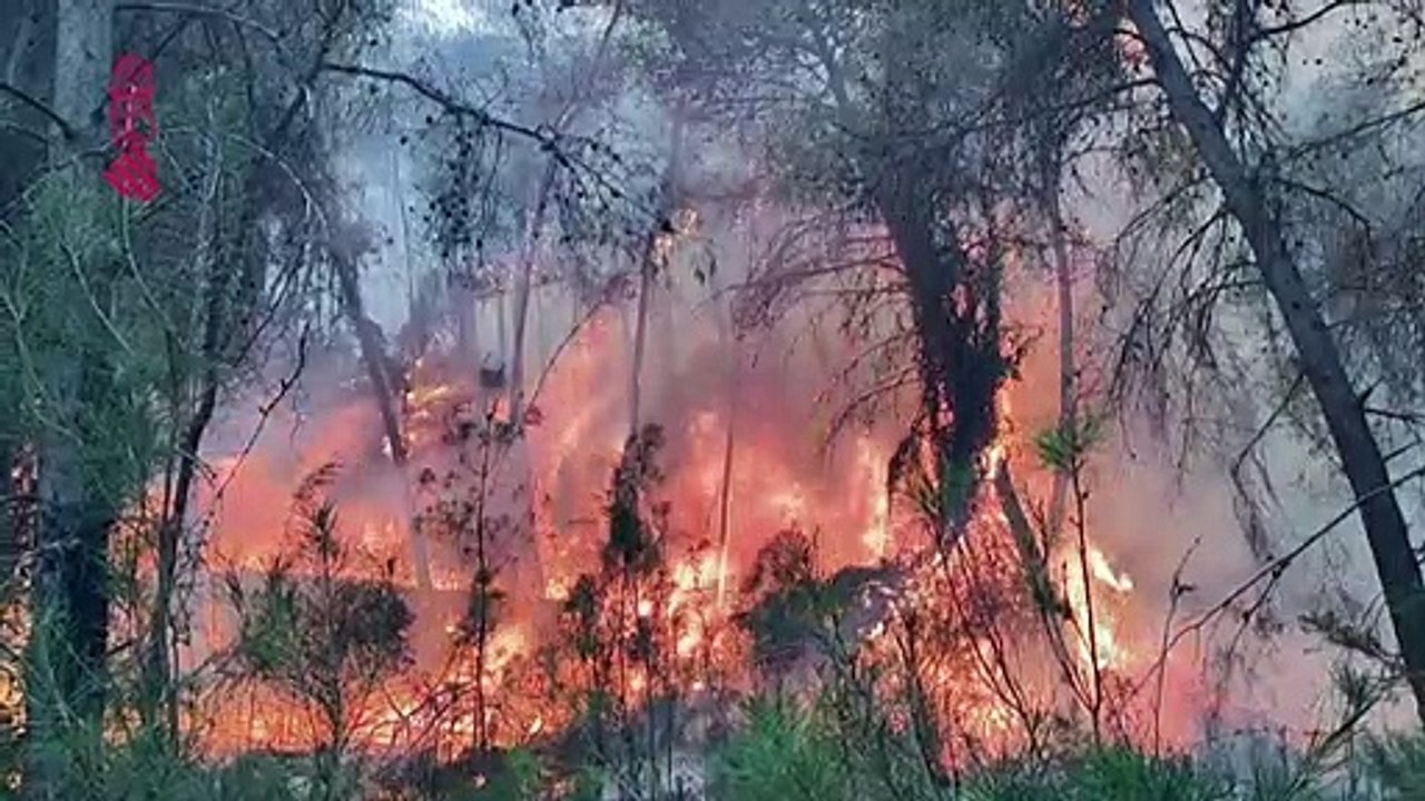 Spanien: Starker Wind facht Waldbrand weiter an