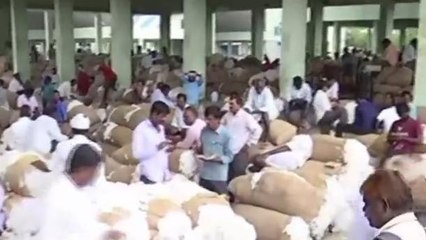 వరంగల్ ఈస్ట: పడిపోతున్న పత్తి ధర.. కన్నీళ్లు పెడుతున్న అన్నదాత