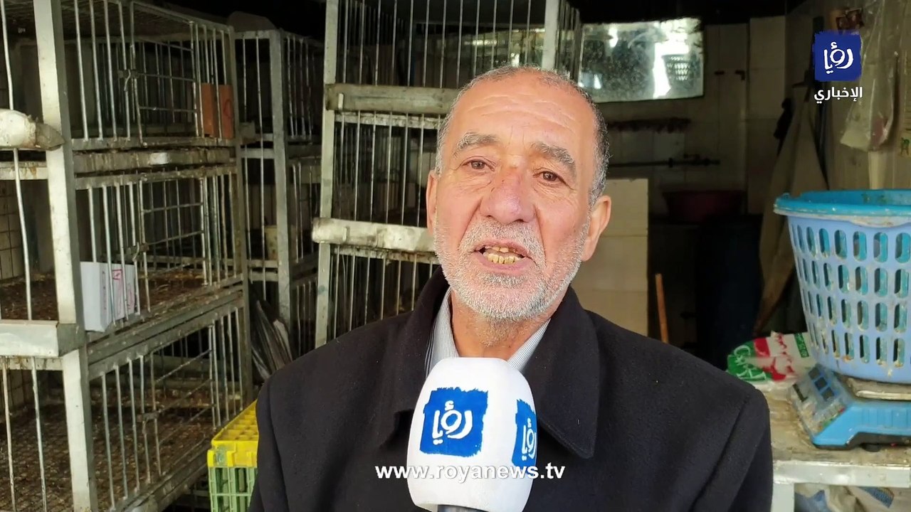 أزمة دجاج في إربد.. إغلاق محلات احتجاجا على السقوف السعرية
