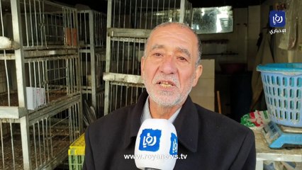أزمة دجاج في إربد.. إغلاق محلات احتجاجا على السقوف السعرية