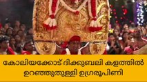 കോലിയക്കോട് ദിക്കുബലി കളത്തിൽ ഉറഞ്ഞുതുള്ളി ഉഗ്രരൂപിണി
