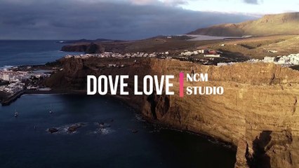 Dove Love - Quincas Moreira_ Pop Music, Happy Music, Inspirational Music @NCMstudio18