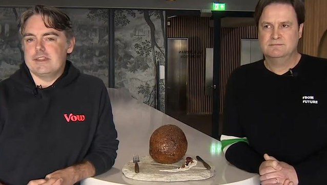 Mind-blowing meatball made from woolly mammoth DNA unveiled