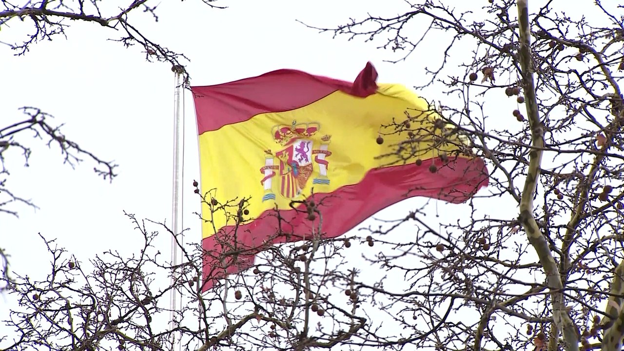 El Supremo anula el cese del coronel de la Guardia Civil Pérez de los Cobos