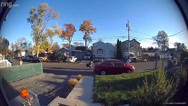 Daily Dose Of Ding Dong Ditching