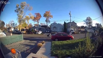 Daily Dose Of Ding Dong Ditching