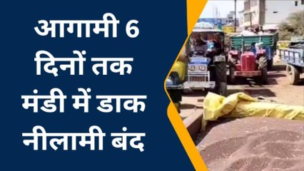 गुना : मंडी में फसलों की भारी आवक,अगले 6 दिनों तक रहेगा अवकाश