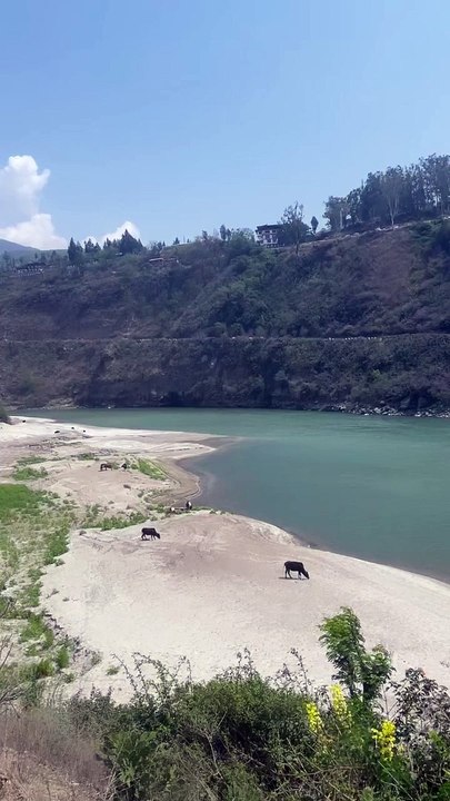 Tatiana Silva est en voyage en Asie du Sud, mars 2023