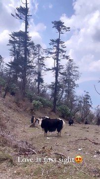 Tatiana Silva est en voyage en Asie du Sud, mars 2023